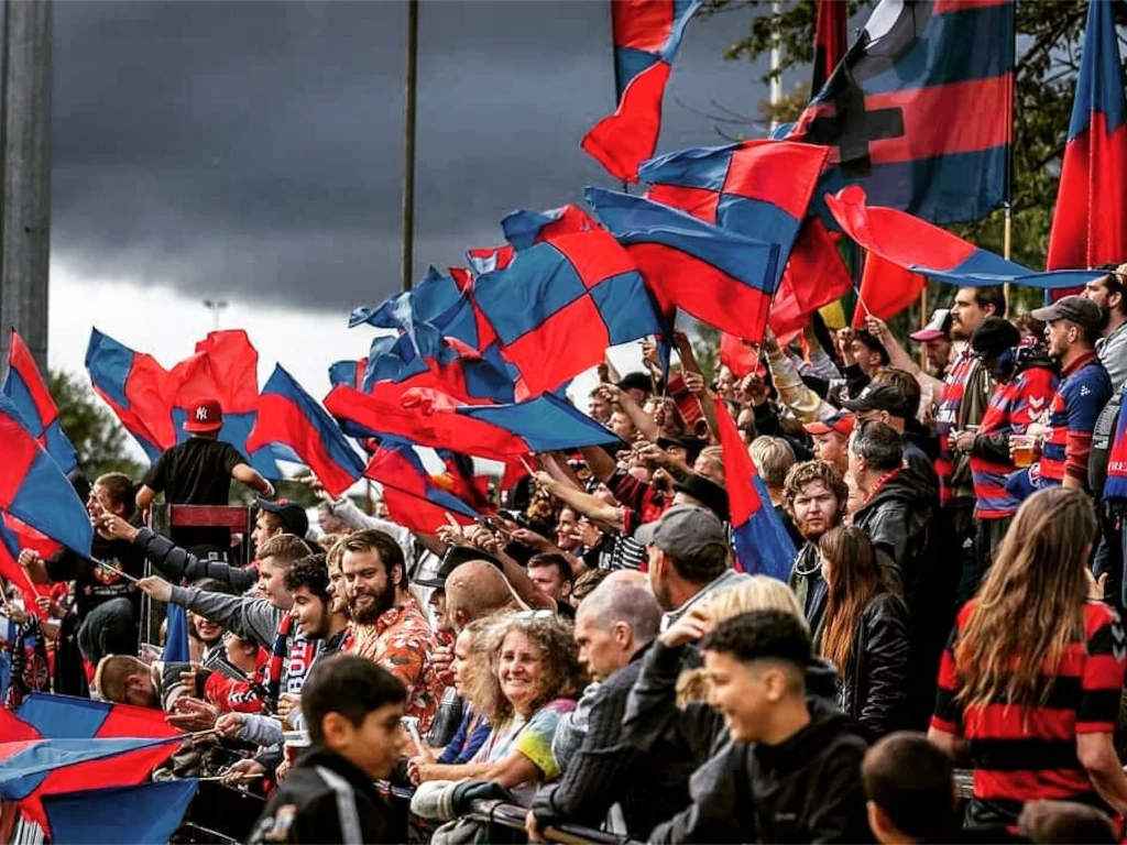 Roedder paa hjemmebane flag